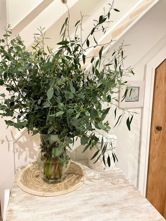 Aromatic fresh, mixed Eucalyptus bunch- Grown in Cornwall