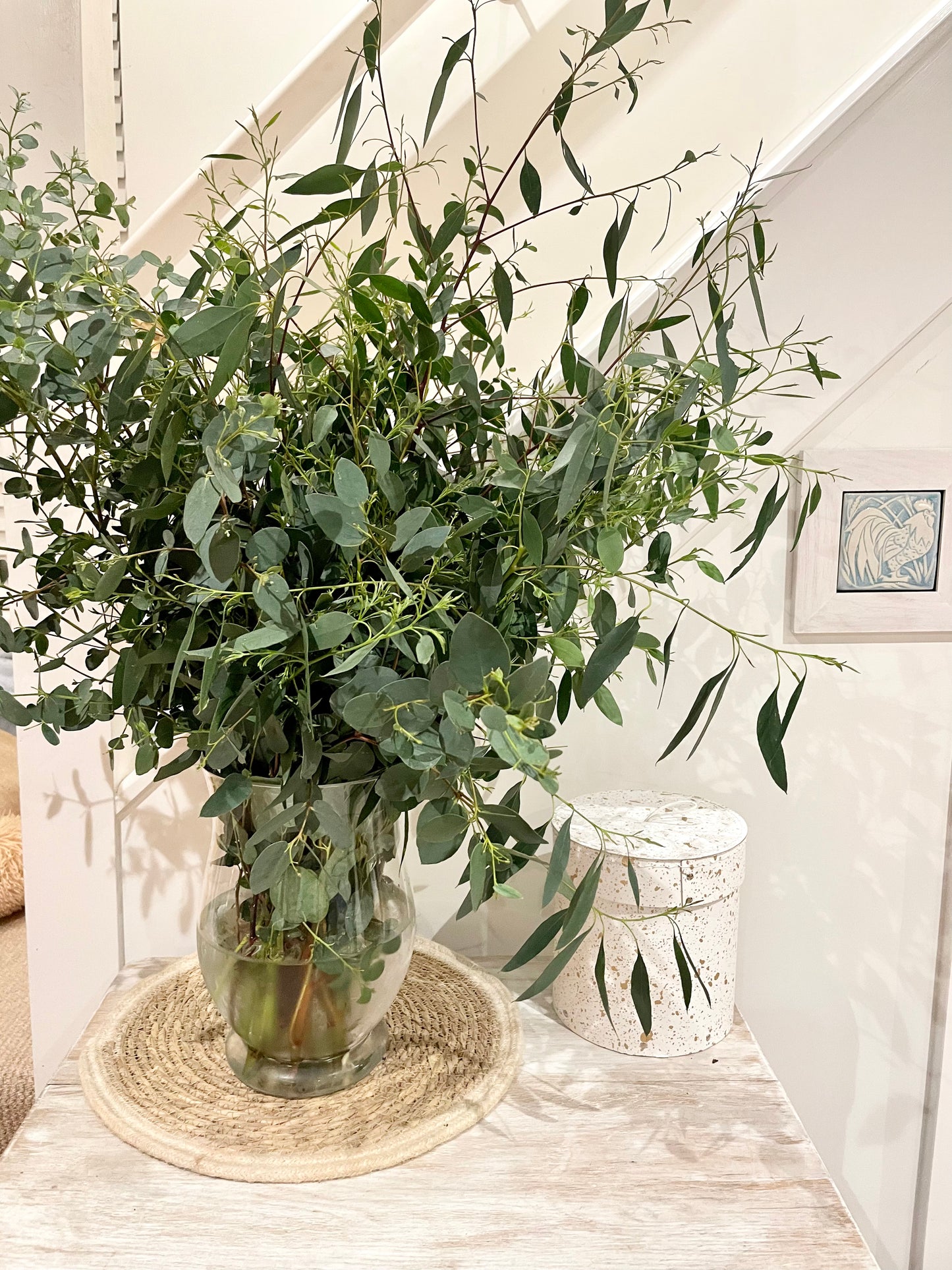 Aromatic fresh, mixed Eucalyptus bunch- Grown in Cornwall