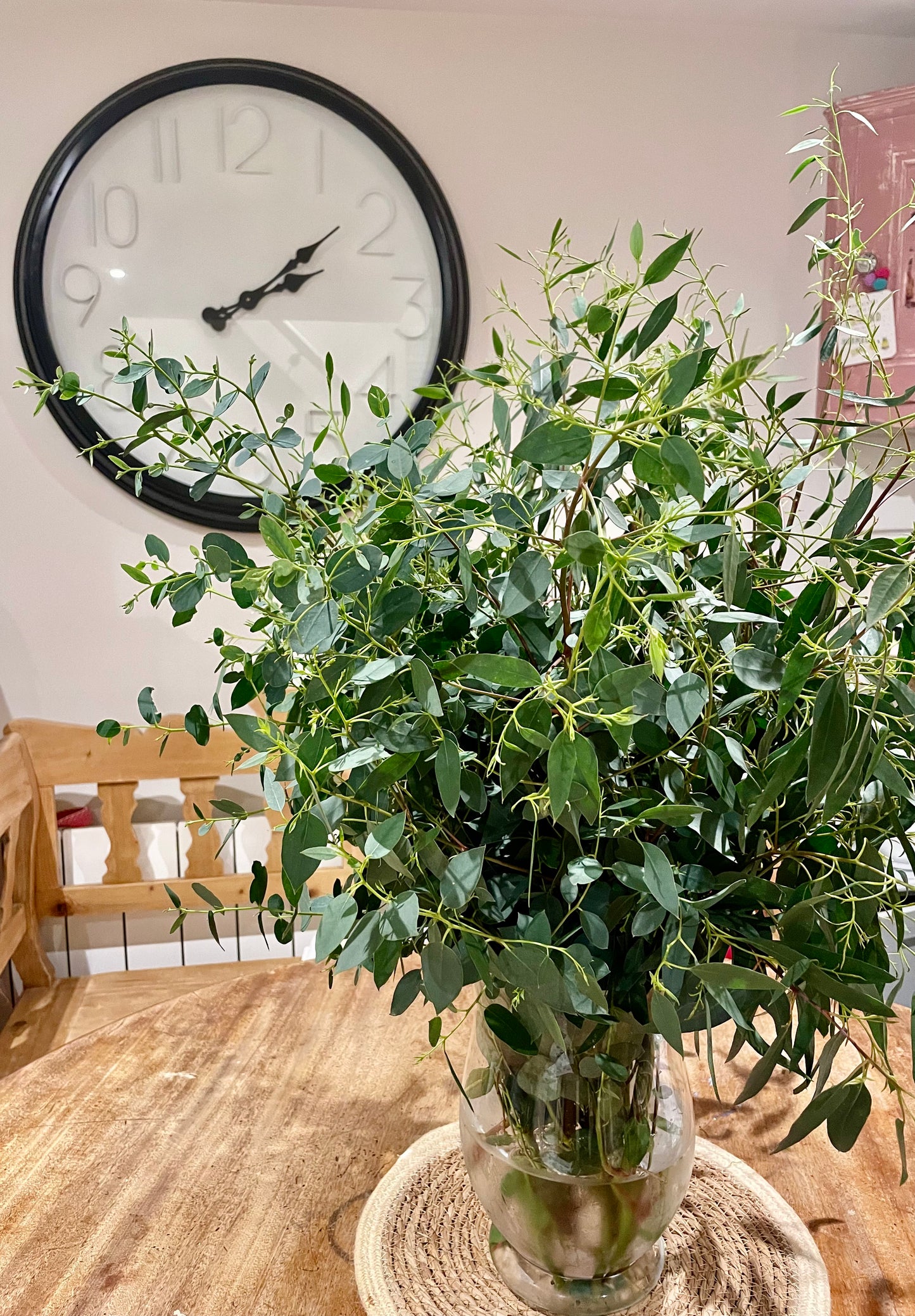 Aromatic fresh, mixed Eucalyptus bunch- Grown in Cornwall